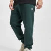Adidas Originals Herren Jogginghose Essentials In Grün -Modisches Herrenbekleidungs Geschäft adidas originals jogginghose gruen 929567