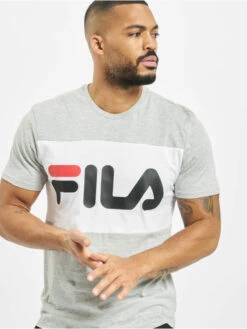 Fila Herren T-Shirt Urban Line Day In Grau