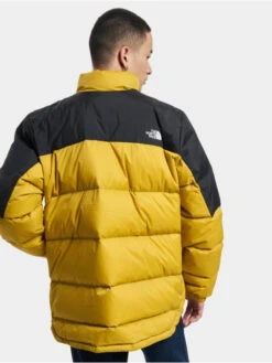 The North Face Herren Winterjacke Diablo Down In Gelb 3 The North Face Herren Winterjacke Diablo Down In Gelb -Modisches Herrenbekleidungs Geschäft the north face winterjacke gelb 976019 1